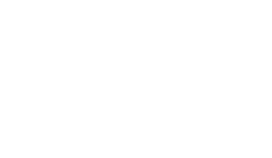 今日は何する？