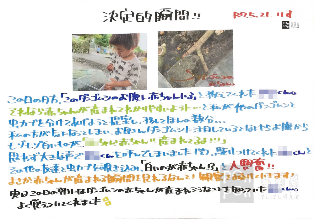 ぽんぽん保育園,ドキュメンテーション,成長の記録,沼津市,清水町,静岡市,御殿場市,裾野市,静岡県,保育ドキュメンテーション,保育園