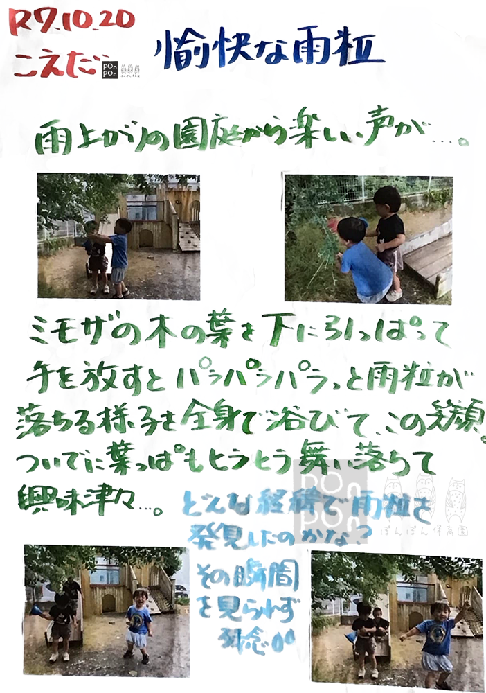 ぽんぽん保育園,ドキュメンテーション,成長の記録,沼津市,清水町,静岡市,御殿場市,裾野市,静岡県,保育ドキュメンテーション,保育園