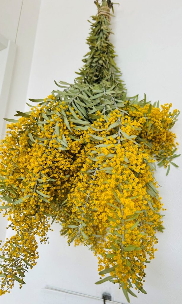 ぽんぽん保育園,給食,沼津市,清水町,静岡市,清水区,御殿場市,裾野市