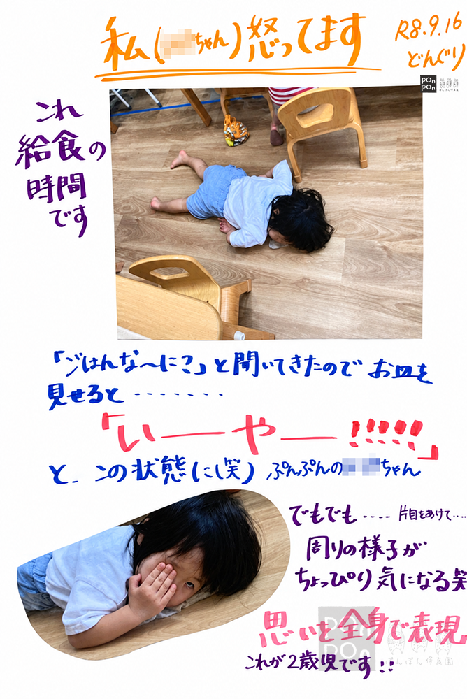 ぽんぽん保育園,保育園,こども園,ドキュメンテーション,成長の記録,沼津市,清水町,静岡市,御殿場市,裾野市,静岡県,保育ドキュメンテーション,保育園,こども園